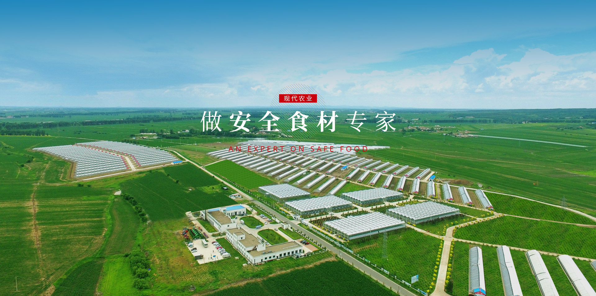 EBET易博·(中国)官方平台