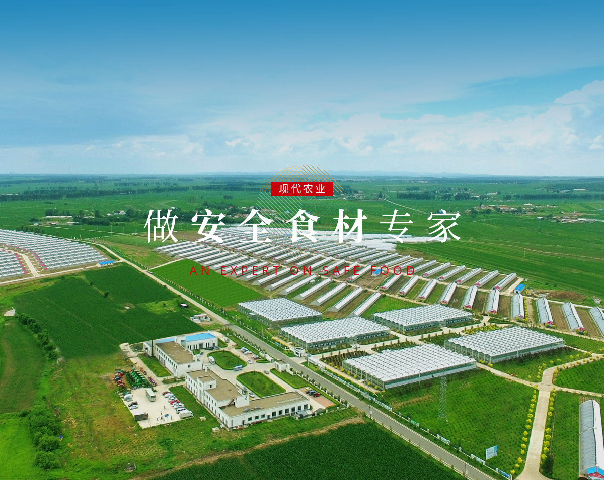 EBET易博·(中国)官方平台