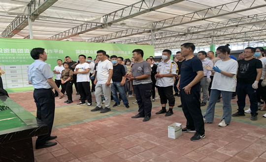 3.南山总公司员工中秋礼物装箱工作现场_副本.jpg