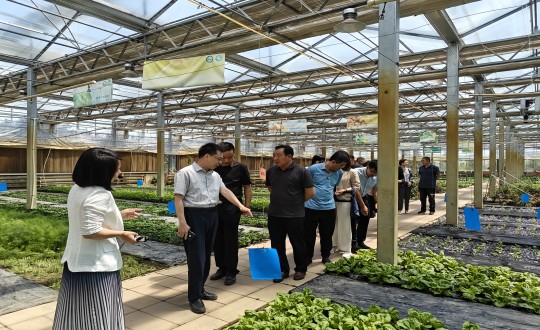 2024年6月27日，中国绿色食品发展中心有关辅导莅临农业总公司调查调研_副本.jpg