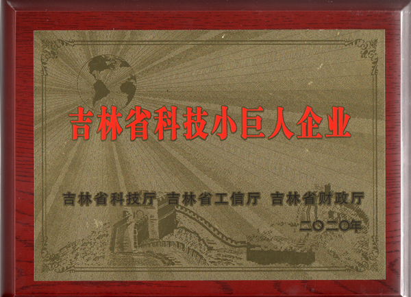 0EBET易博物业获“吉林省科技幼巨人企业”称号_副本.jpg